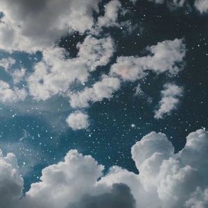 Meet your Posher, Ashlyn